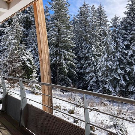 Studio Chamrousse 1700 Pour 4 Personnes - Au Calme - Avec Wifi Esterno foto